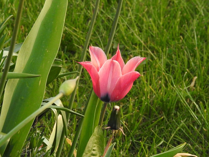 Farbtupfer auf dem Petersberg