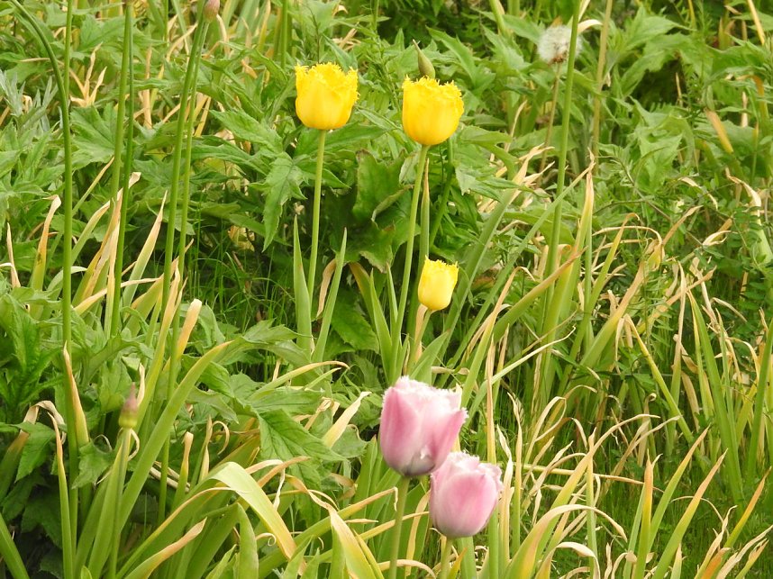 Farbtupfer auf dem Petersberg