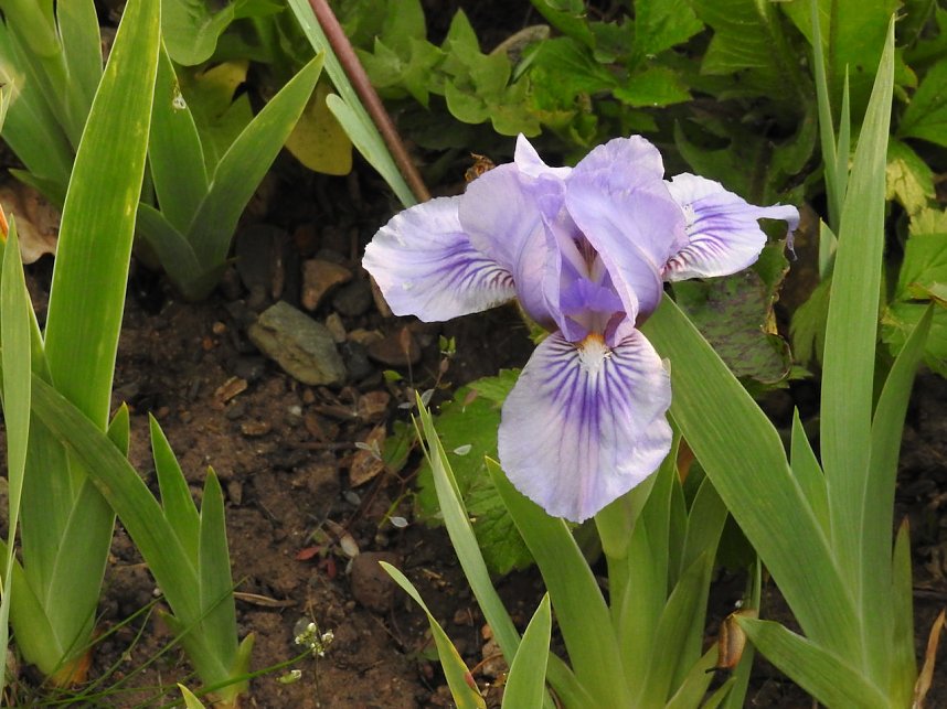 Farbtupfer auf dem Petersberg