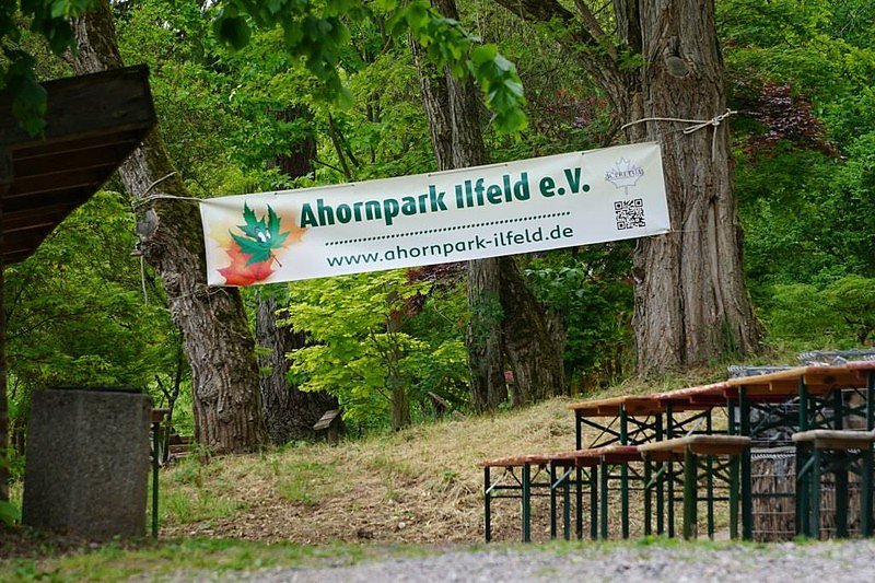 Ahornparkfest in Ilfeld