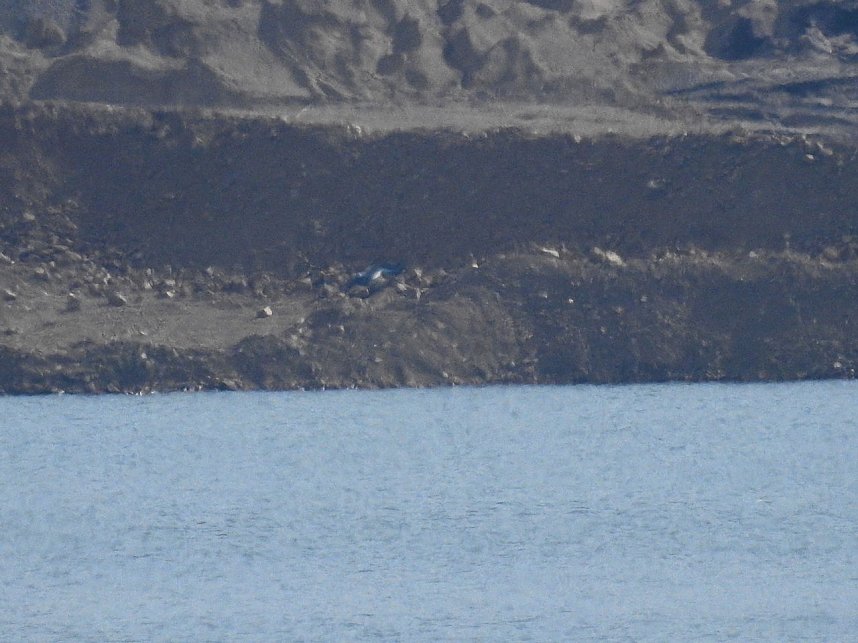 Peter Blei zu Besuch am Concordia See