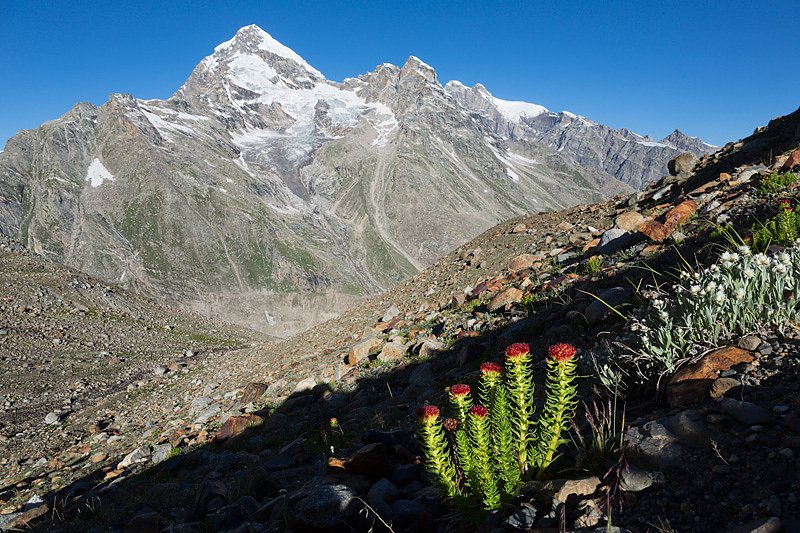 Impressionen vom Indischen Himalaya
