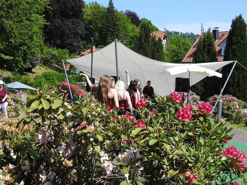 22. Rhododendronfest in S&uuml;lzhayn