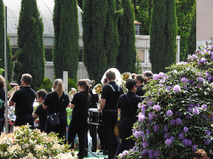 22. Rhododendronfest in S&uuml;lzhayn