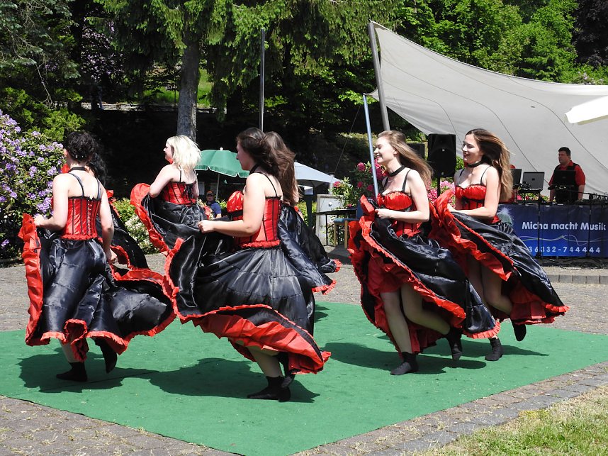 22. Rhododendronfest in S&uuml;lzhayn