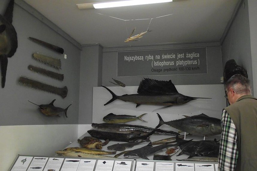 Auf Entdeckungstour in Swinem&uuml;nde