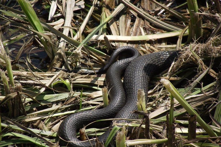 Auf Entdeckungstour in Swinem&uuml;nde