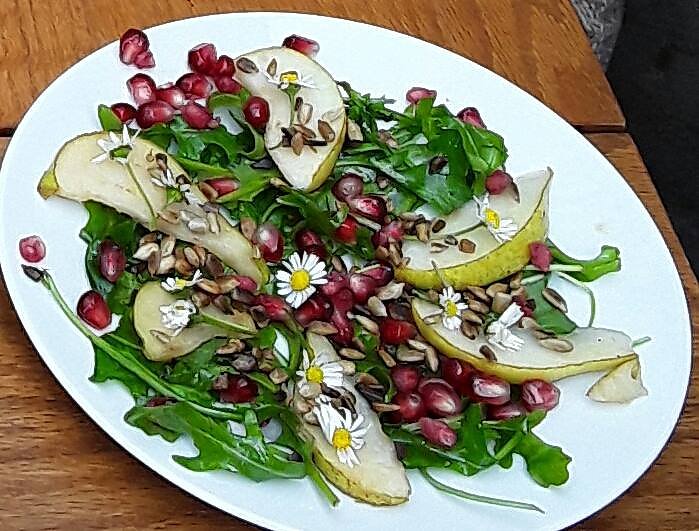 5-Elemente K&uuml;che im Park Hohenrode