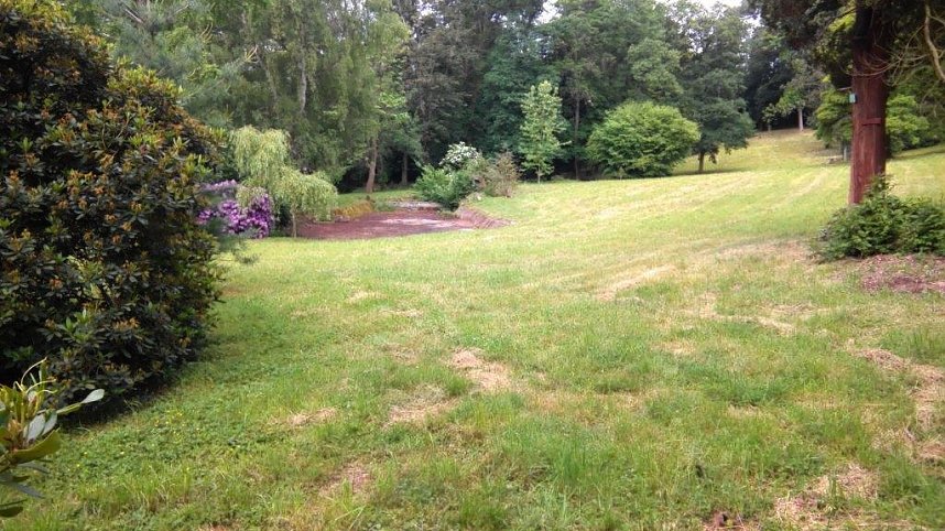 Der Park Hohenrode hinterl&auml;sst einen gepflegten Eindruck.