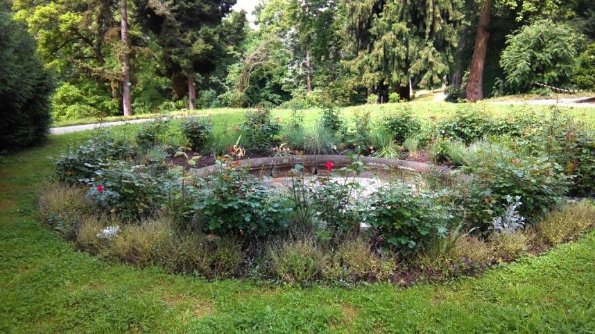 Das Auge lacht: Rosenrondell bei der alten Parkvilla.