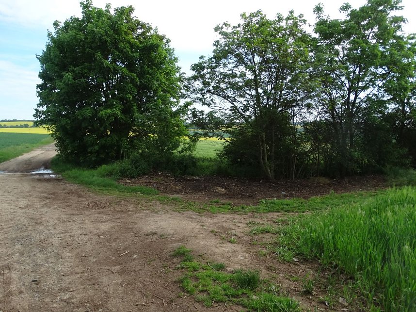 Schlachtabf&auml;lle entsorgt