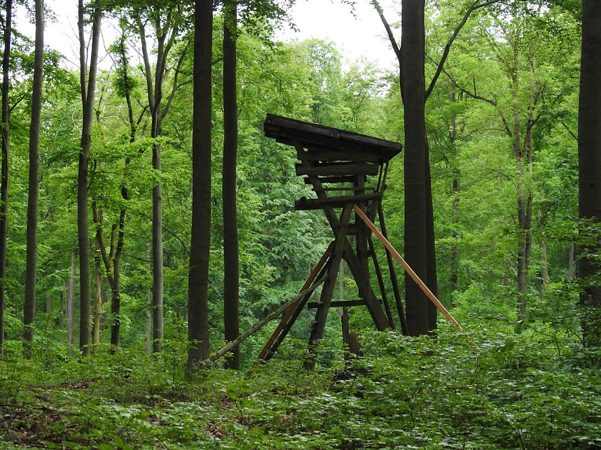 Peter Blei unterwegs im Harz
