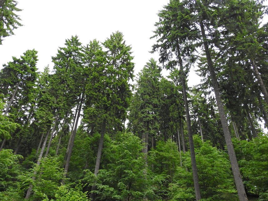 Peter Blei unterwegs im Harz