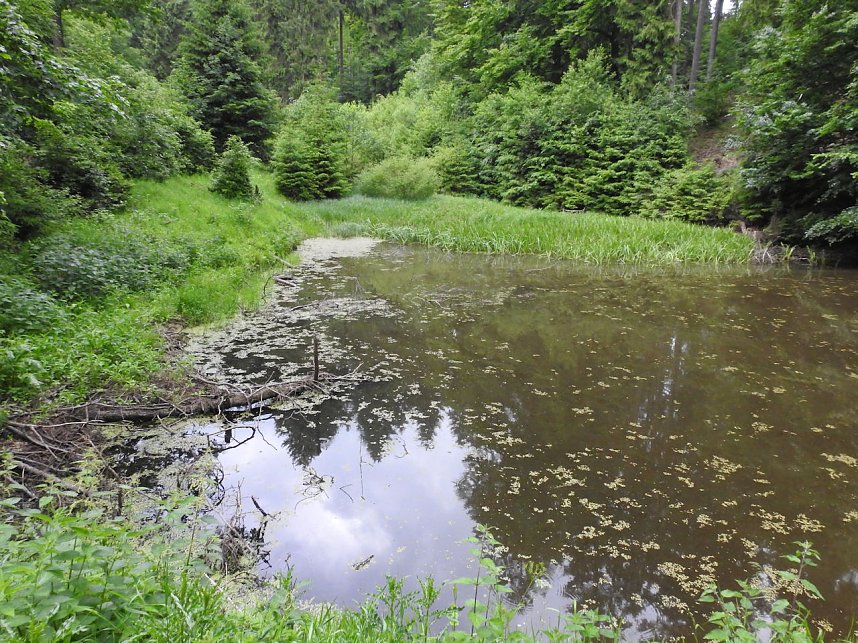 Peter Blei unterwegs im Harz