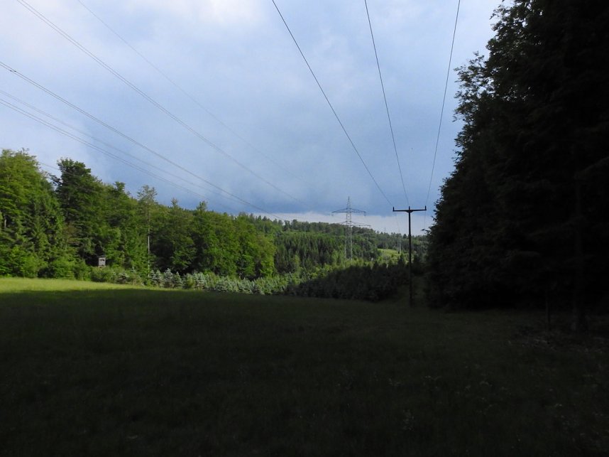 Peter Blei unterwegs im Harz