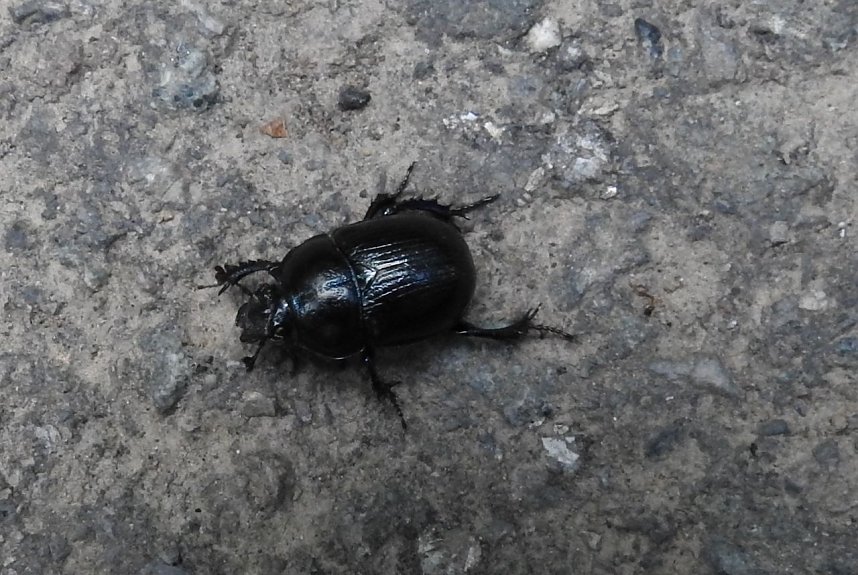 Peter Blei unterwegs im Harz