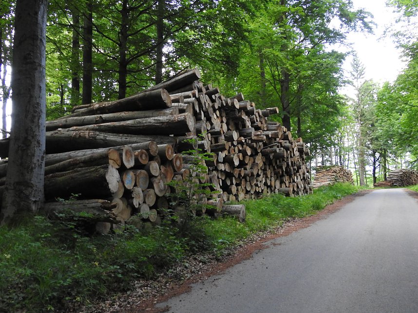 Peter Blei unterwegs im Harz