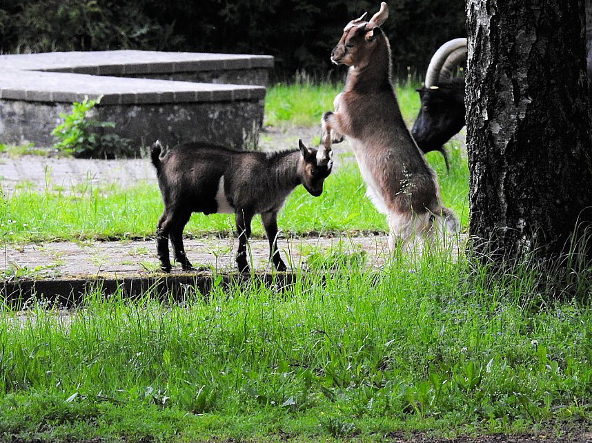 Peter Blei unterwegs im Harz