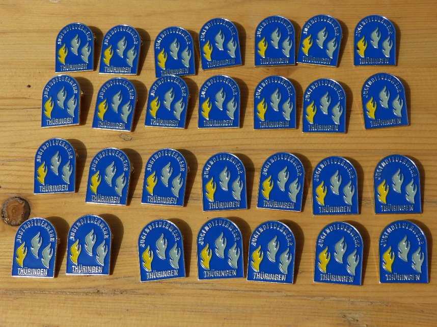 Hohnsteiner Jugendfeuerwehren im Pr&uuml;fungsstress