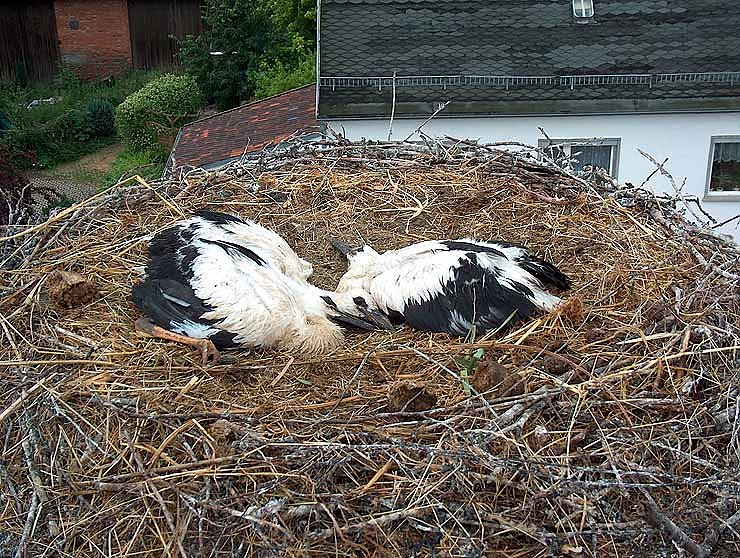 Taufe in G&ouml;rsbach