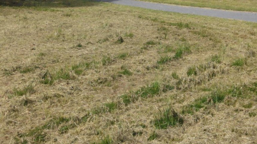 Ein Anfang ist gemacht