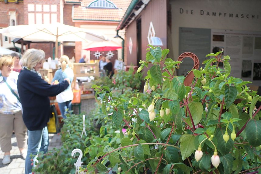 In der Echten Nordh&auml;user Traditionsbrennerei wurde heute der erste "Hof- und Genussmarkt" er&ouml;ffnet