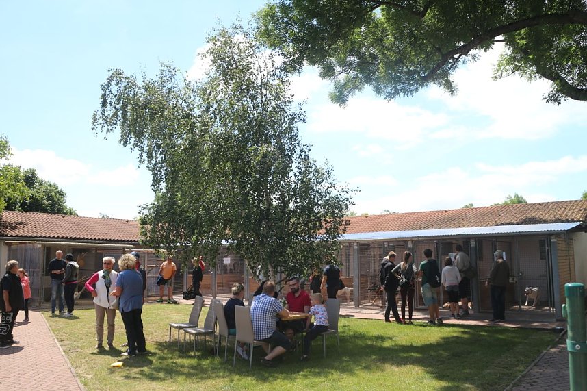 1. Sommerfest im Nordh&auml;user Tierheim