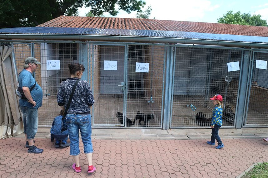 1. Sommerfest im Nordh&auml;user Tierheim