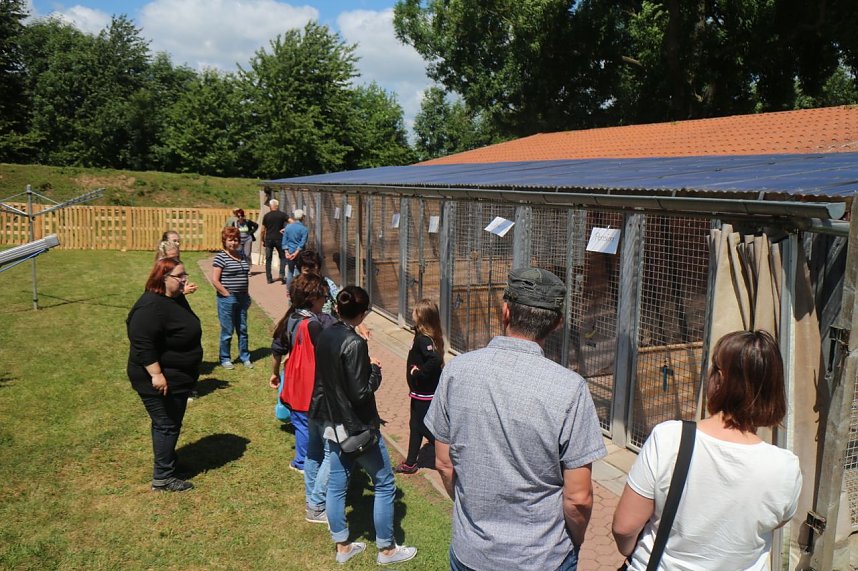 1. Sommerfest im Nordh&auml;user Tierheim