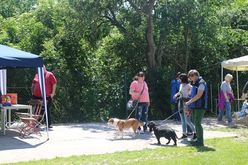 1. Sommerfest im Nordh&auml;user Tierheim