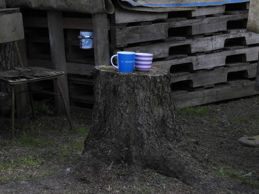 27. Kunstmarkt in Friedrichsrode