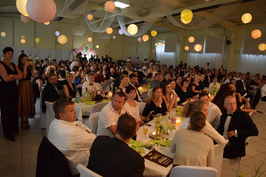 Die RABItsverlassen den Bau