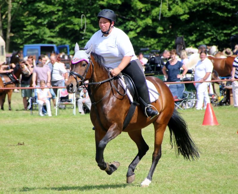 Gefahren und geritten