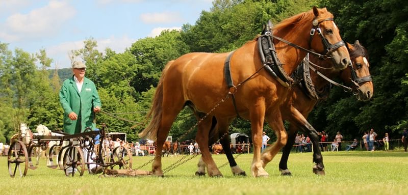 Gefahren und geritten