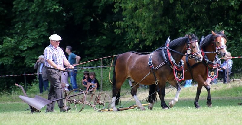 Gefahren und geritten