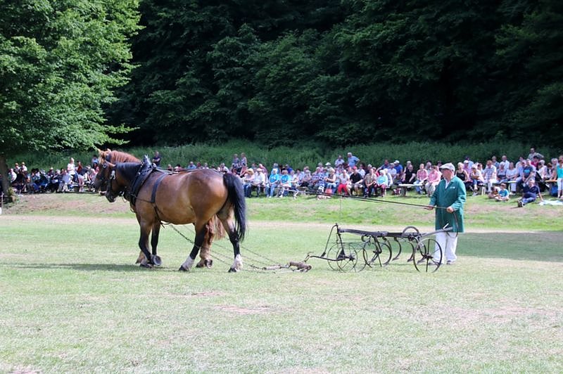 Gefahren und geritten