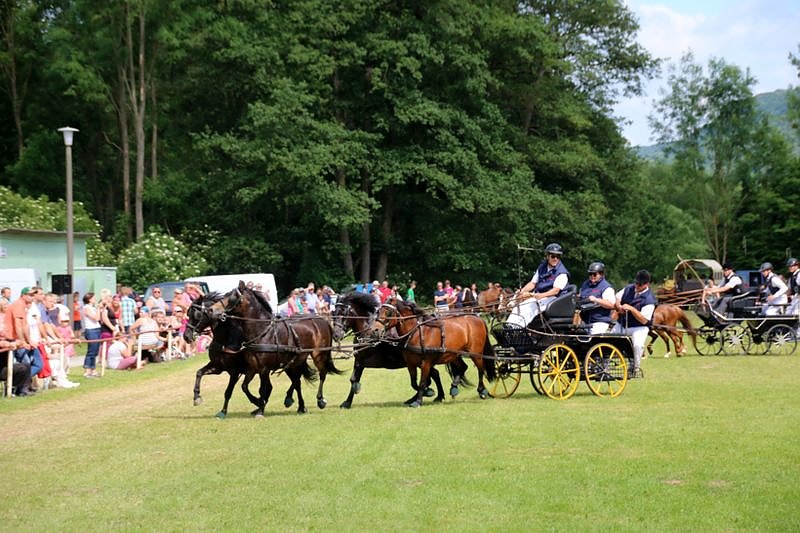 Gefahren und geritten