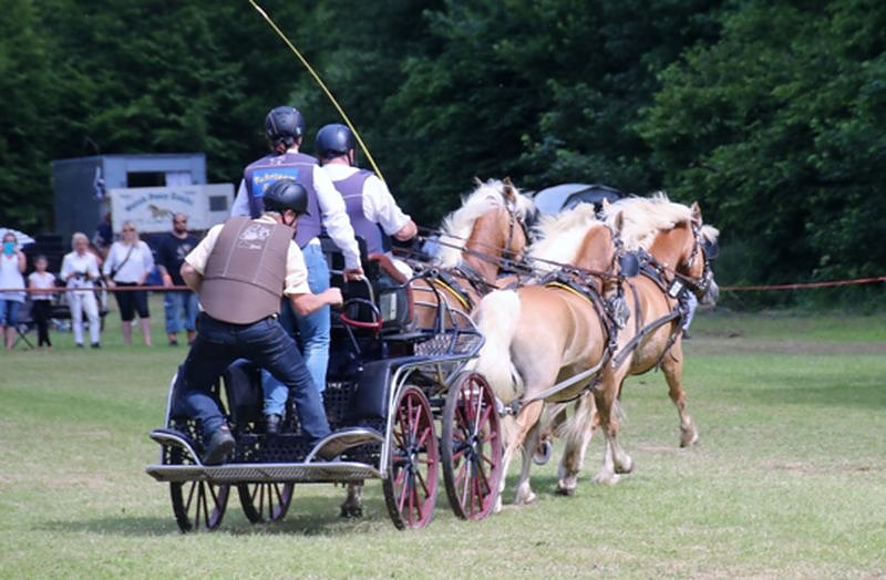 Gefahren und geritten