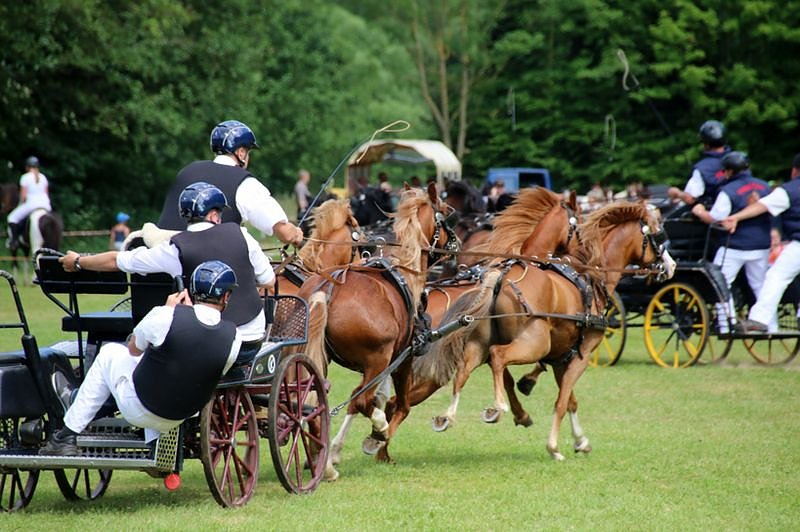 Gefahren und geritten