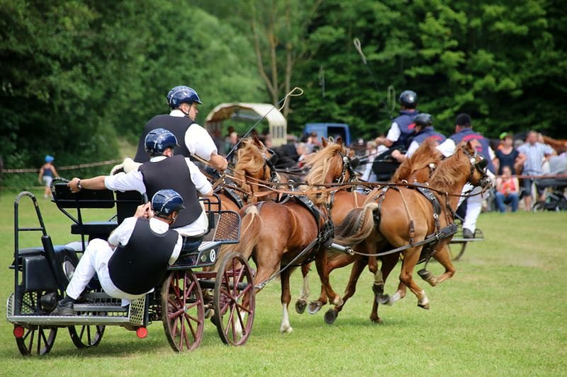 Gefahren und geritten