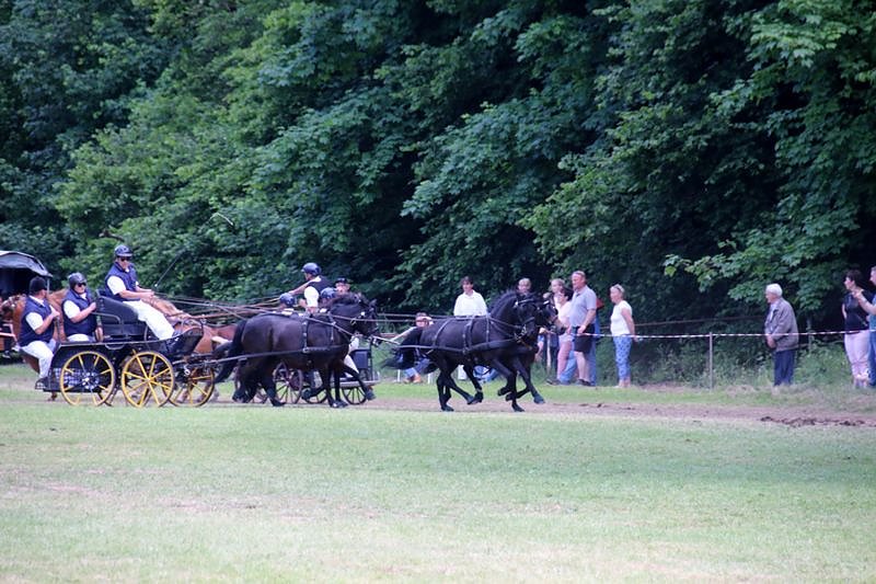 Gefahren und geritten