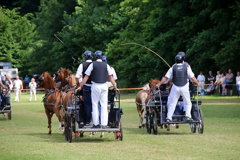 Gefahren und geritten