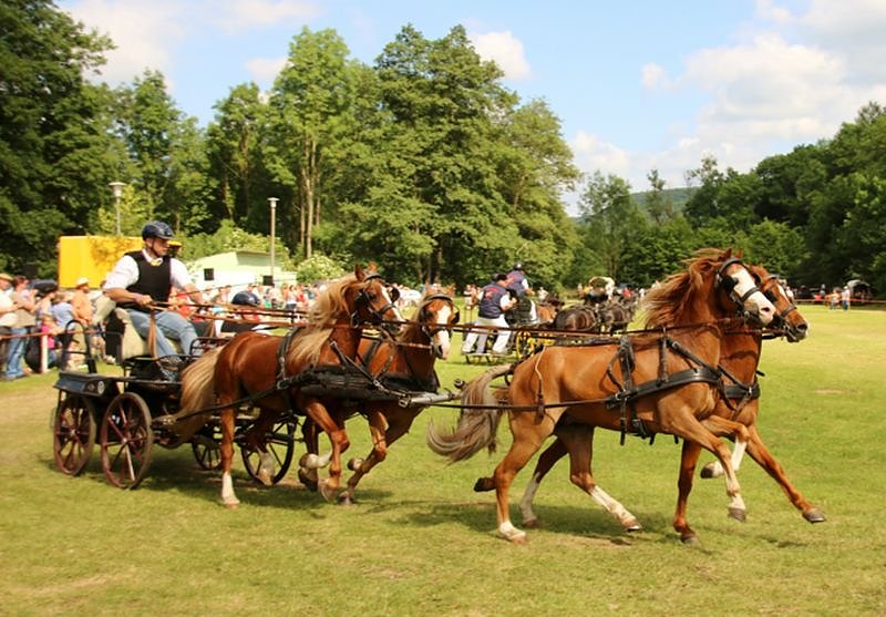 Gefahren und geritten