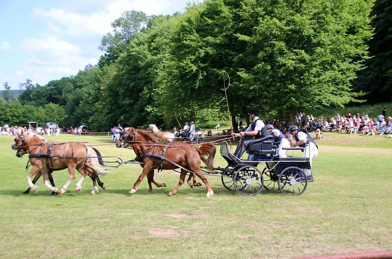 Gefahren und geritten