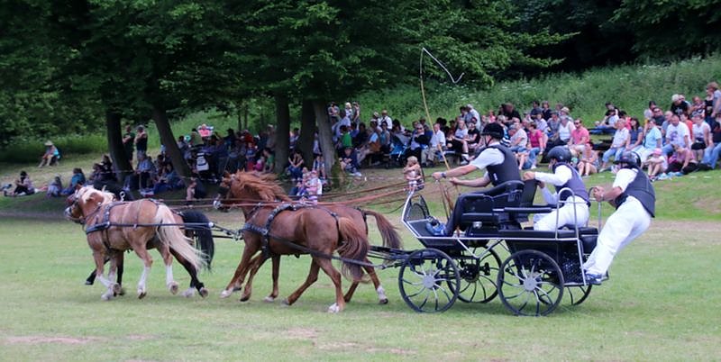 Gefahren und geritten