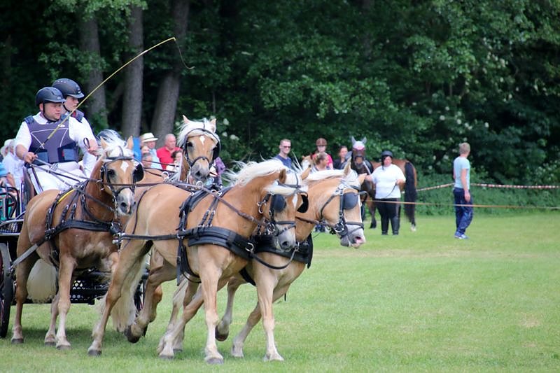 Gefahren und geritten