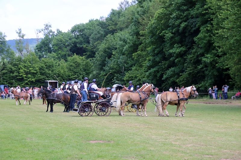 Gefahren und geritten