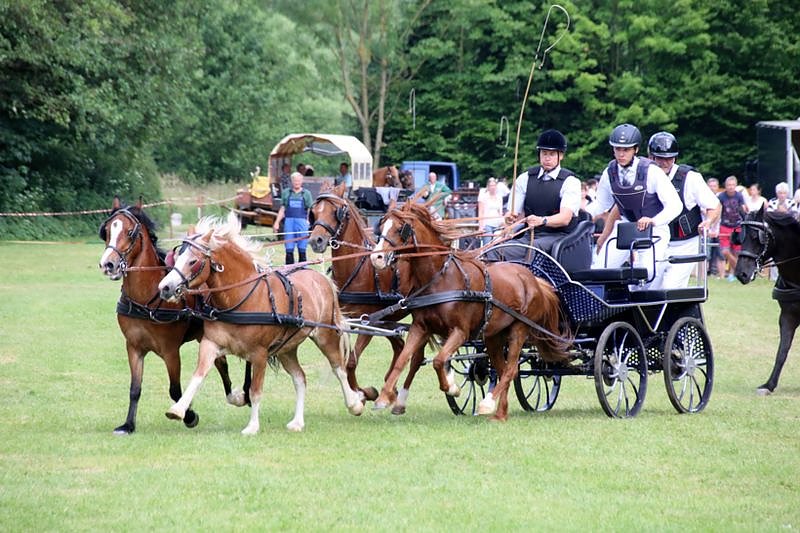 Gefahren und geritten