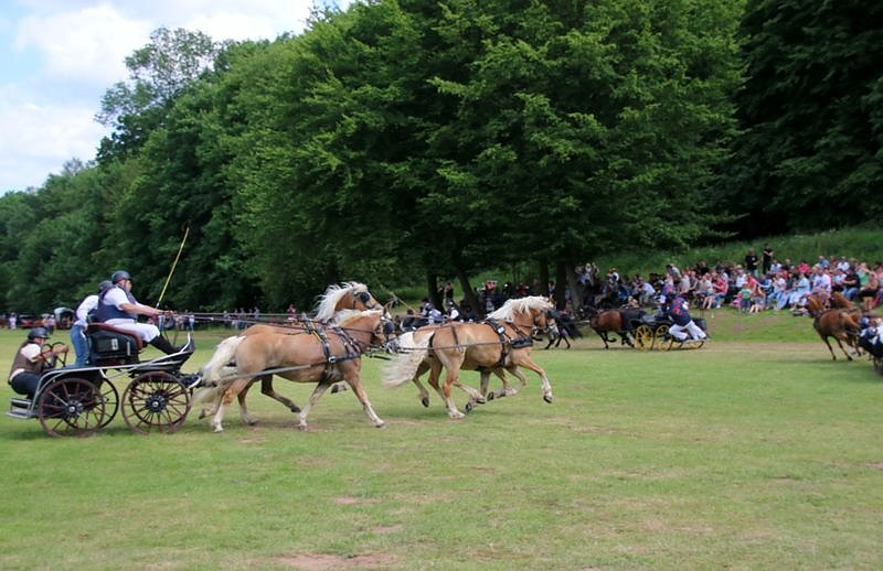 Gefahren und geritten