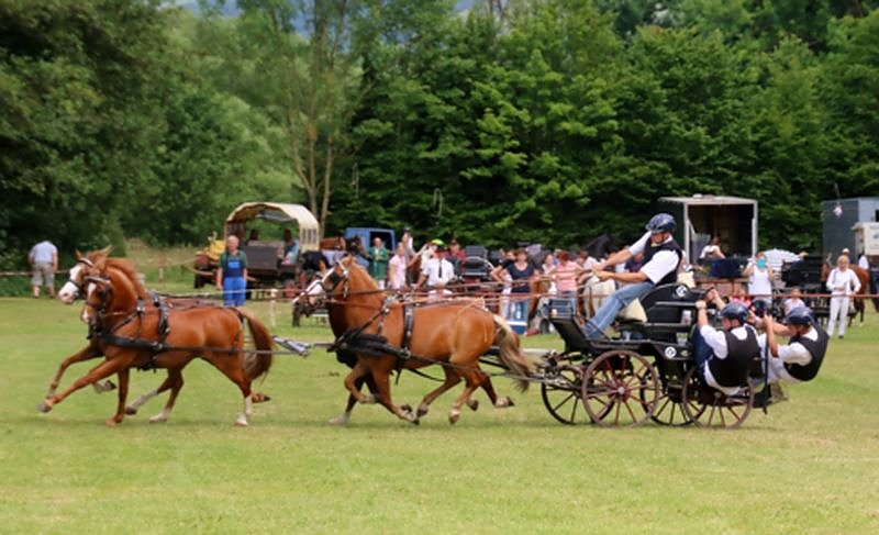 Gefahren und geritten
